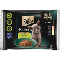 Produktbild von Sheba Kitten Nassfutter Stückchen in Sauce Feine Vielfalt Getreidefrei 4x85g