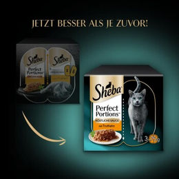 Sheba Perfect Portions Nassfutter für erwachsene Katzen mit Truthahn-Stückchen in Sauce 6 x 37,5 g - 96 x 37,5 g – Bild 1 von 6
