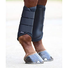 Shires Arma Neopren-Gamaschen für Pferde in Rot Schwarz Größe Cob – Bild 1 von 3