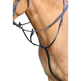 Shires Aviemore Running Martingal für Ponys aus Leder in Schwarz – Bild 1 von 1