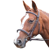 Produktbild von Shires Avignon Nasenriemen aus Leder für Ponys in Braun
