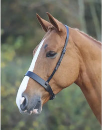 Shires Blenheim Hunter Cavesson Reithalter aus Leder Schwarz XFull – Bild 1 von 2