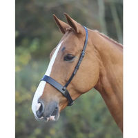 Produktbild von Shires Blenheim Hunter Cavesson Reithalter aus Leder Schwarz XFull