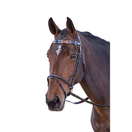 Produktbild von Shires Blenheim Polo-Stirnband aus Leder in Pink, Natur und Marineblau XL