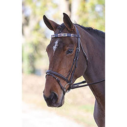 Shires Blenheim Polo-Stirnband aus Leder in Rosa Natur und Marineblau für Pferde – Bild 1 von 2