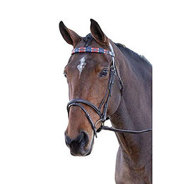 Shires Blenheim Polo-Stirnband aus Leder in Rot/Blau für Vollblut/VB – Bild 1 von 2