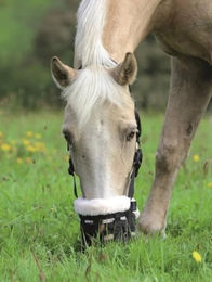 Shires Deluxe-Weidenmaulkorb für Ponys aus Nylon in Schwarz – Bild 1 von 2