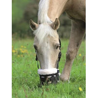 Produktbild von Shires Deluxe-Weidenmaulkorb für Ponys aus Nylon in Schwarz