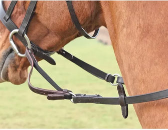 Shires Flexi Pferdezügel – Bild 1 von 1