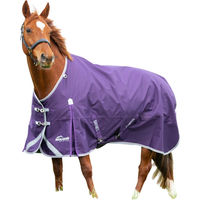 Produktbild von Shires Highlander Original 100 Standard Pferdedecke Pflaume 213cm