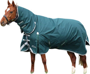 Shires Highlander Original 300 Combo-Kragen Pferdedecke Grün 206cm – Bild 1 von 1
