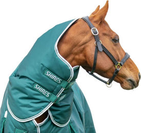 Shires Highlander Original 300 Weidedecke mit Halsteil Grün 152cm – Bild 1 von 1
