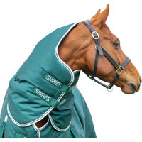 Produktbild von Shires Highlander Original 300 Weidedecke mit Halsteil Grün 152cm