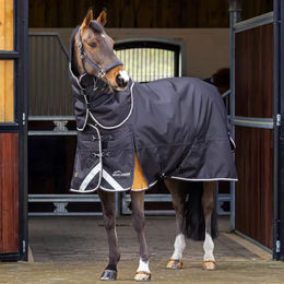 Shires Highlander Plus 200 Weidedecke mit Halsabdeckung für Pferde in Schwarz – Bild 1 von 4