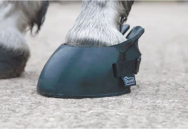 Shires Hufglocken für Pferde Schwarz Medium aus Nylon – Bild 1 von 1