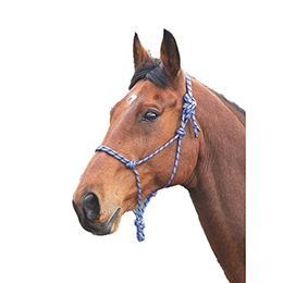 Shires Rope Control Halfter Seil Lila Schwarz – Bild 1 von 2