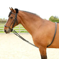 Produktbild von Shires Soft Lunge Training Aid Longierseil für Pferde Schwarz