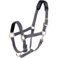 Produktbild von Shires Topaz Nylon Pferdehalfter für Ponys in Grau
