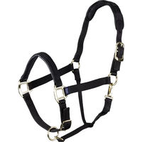 Produktbild von Shires Topaz Pferdehalfter aus Nylon in Schwarz für Ponys