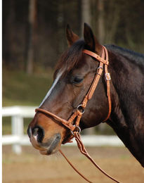 Produktbild von Sidepull Harness Pony gebisslose Zäumung aus Leder in Braun