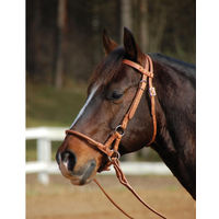 Produktbild von Sidepull Harness Pony gebisslose Zäumung aus Leder in Braun