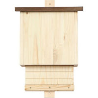Produktbild von Siena Garden Fledermauskasten Austin aus Kiefernholz in Braun