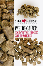 Siglhorse Heucobs Weideglück Heu Pellets für Pferde ohne tierisches Protein 25 kg – Bild 1 von 2