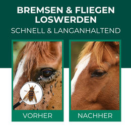 SILBERKRAFT Fliegenspray und Fellspray für Pferde 500ml – Bild 1 von 3