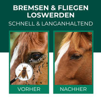 Produktbild von SILBERKRAFT Fliegenspray und Fellspray für Pferde 500ml