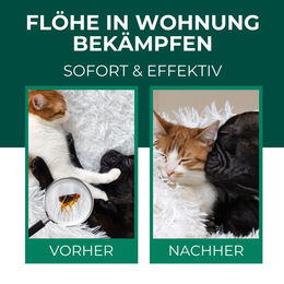 SILBERKRAFT Flohspray Umgebungsspray gegen Flöhe Läuse Milben und Zecken – Bild 1 von 3