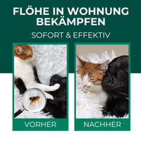 Produktbild von SILBERKRAFT Flohspray Umgebungsspray gegen Flöhe Läuse Milben und Zecken