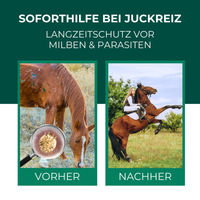 Produktbild von SILBERKRAFT Milbenspray für Pferde 500 ml