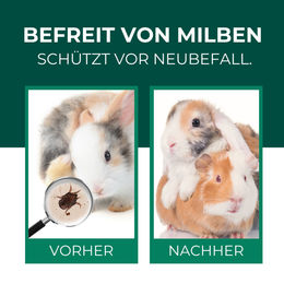 SILBERKRAFT Milbenspray zur Parasitenbehandlung für Kaninchen und Meerschweinchen – Bild 1 von 3