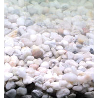 Produktbild von Silbermann Bright Gravel Aquarienkies für Meer- und Süßwasser 10kg - 10 kg
