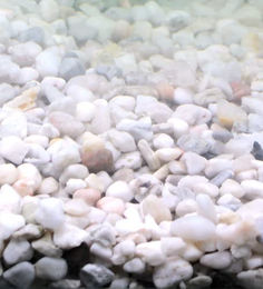 Silbermann Bright Gravel Heller Aquarienkies für Meer- und Süßwasser Beige Weiß 4-8mm 5kg - 5 kg – Bild 1 von 2