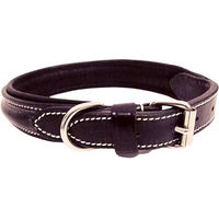 Produktbild von Silver Crown Hundehalsband aus Leder in Schwarz und Silber für erwachsene Hunde
