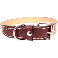 Produktbild von Silver Crown Hundehalsband Karl aus Leder in Braun