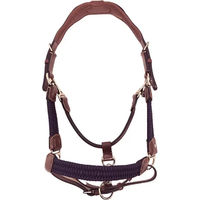 Produktbild von Silver Crown Pferdehalfter aus Leder und Paracord in Blau oder Braun