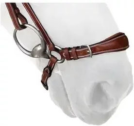 Produktbild von Silver Crown Reithalfter aus Leder für Warmblut in Schwarz oder Braun