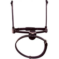 Produktbild von Silver Crown Reithalfter aus Leder in Schwarz