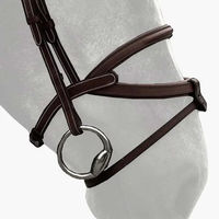 Produktbild von Silver Crown Reithalfter Brazilian aus Leder in Braun
