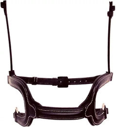 Produktbild von Silver Crown Reithalfter Cheval Corde aus Leder in Schwarz und Silber Fullsize