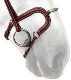 Produktbild von Silver Crown Reithalfter Cheval Corde aus Leder in Silber und Braun Fullsize