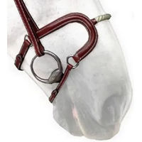Produktbild von Silver Crown Reithalfter Cheval Corde aus Leder in Silber und Braun Fullsize