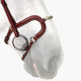 Produktbild von Silver Crown Reithalfter Cheval Corde aus Leder in Silber und Braun Fullsize