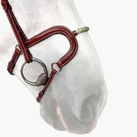 Produktbild von Silver Crown Reithalfter Cheval Corde aus Leder in Silber und Braun Fullsize