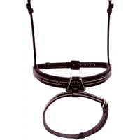 Produktbild von Silver Crown Reithalfter Flash Schwarz