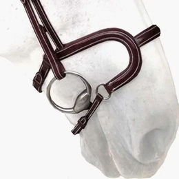 Produktbild von Silver Crown Reithalfter H Classique aus Leder in Braun für Warmblut