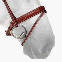 Produktbild von Silver Crown Reithalfter Pull Back aus Leder in Braun