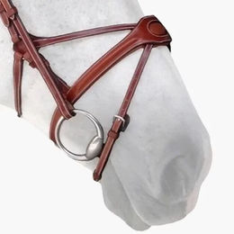 Produktbild von Silver Crown Reithalfter Spider aus Leder in Braun